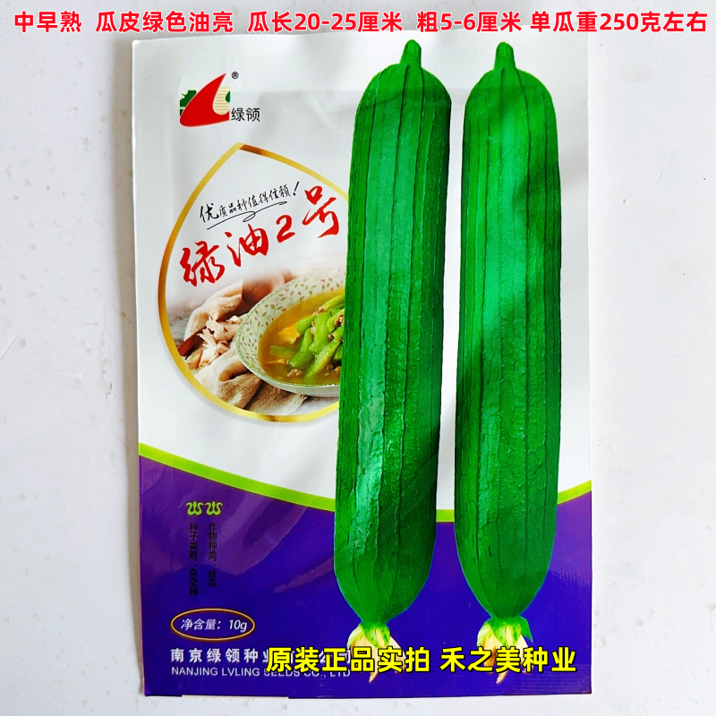 南京绿领种业 绿油2号 油亮丝瓜种籽 高产抗病绿油二号短丝瓜种子