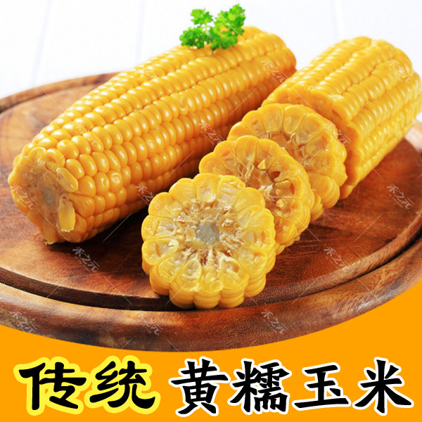 黄糯 白糯粘金糯玉米种子早熟粘甜传统老品种籽玉米四季春季夏季
