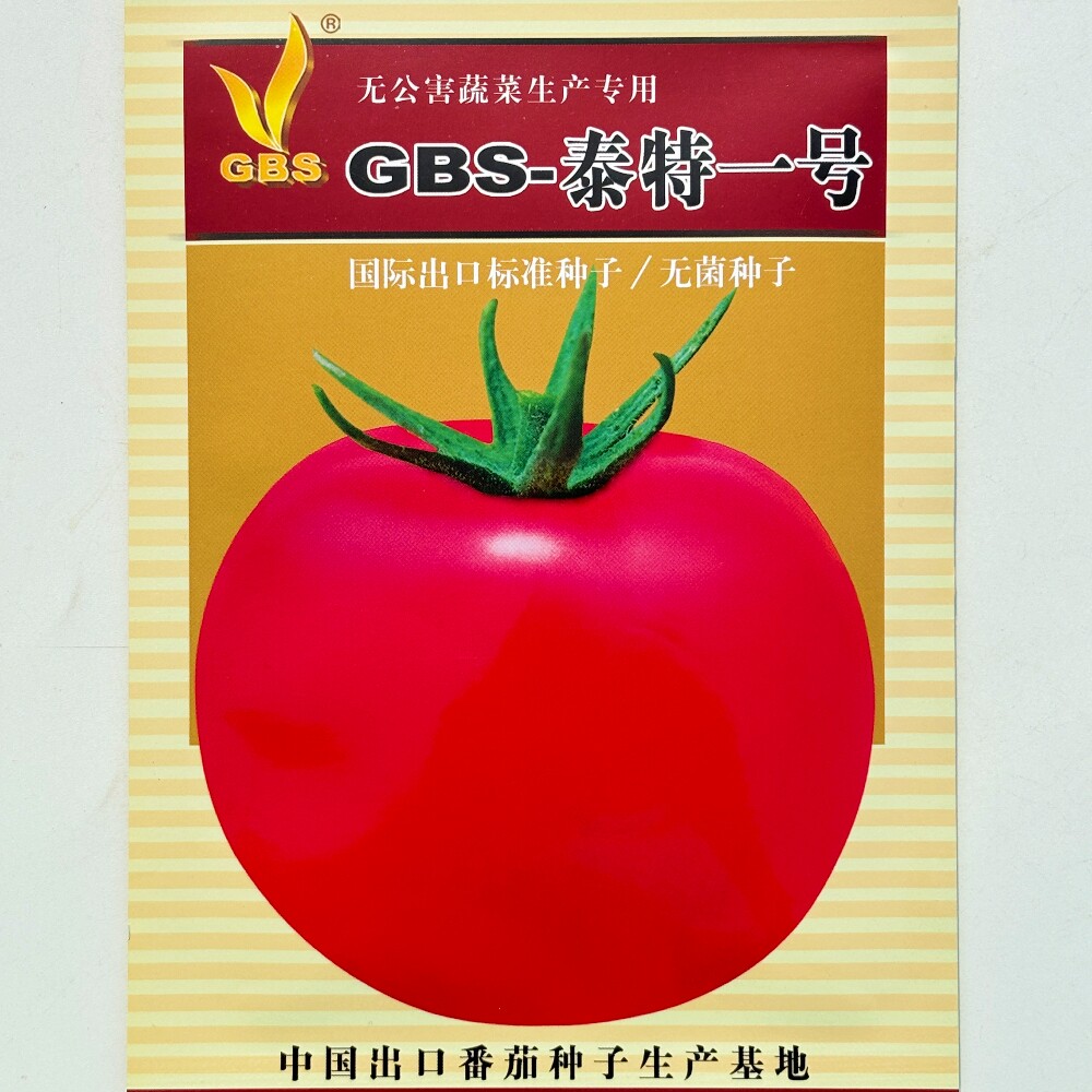 大连天地种子GBS泰特一号粉红番茄种子无限生长型大果西红柿种籽