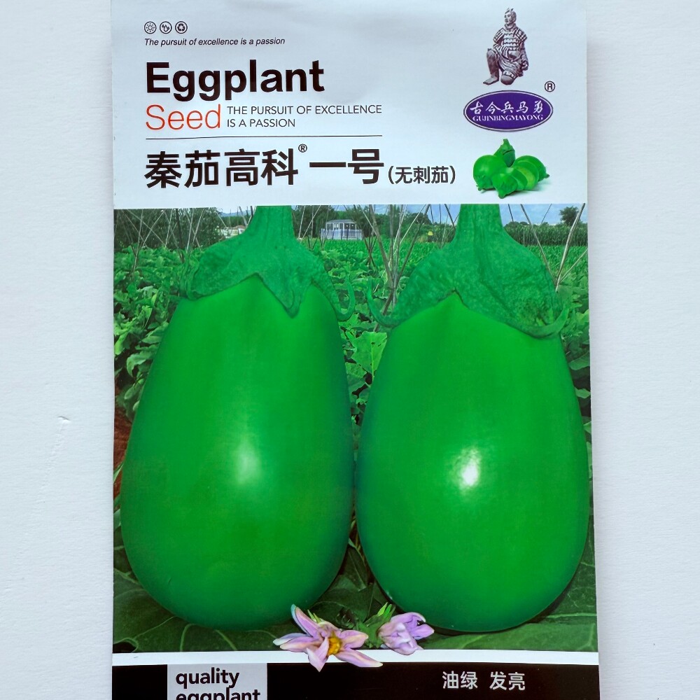 秦茄高科一号绿茄种籽杂交中早熟深绿油亮茄子种子农家春季播种孑