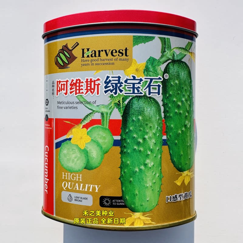 蓟农绿宝石水果黄瓜种子口感好早熟高产抗病农家春秋播种精选瓜种