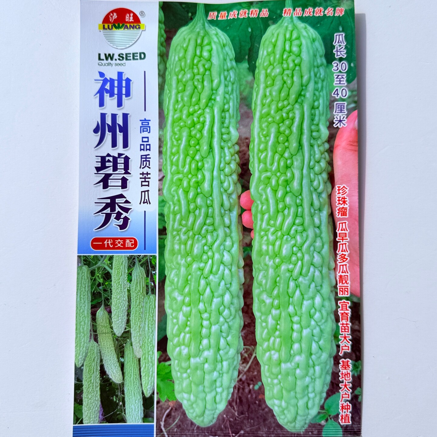 泸旺神州碧秀苦瓜种子早熟耐热高产绿白苦瓜种籽清爽脆嫩春秋季播