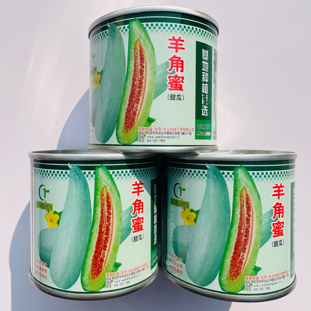 万盛羊角蜜甜瓜种子酥脆香甜高产薄皮羊角酥香瓜种籽大田基地播种