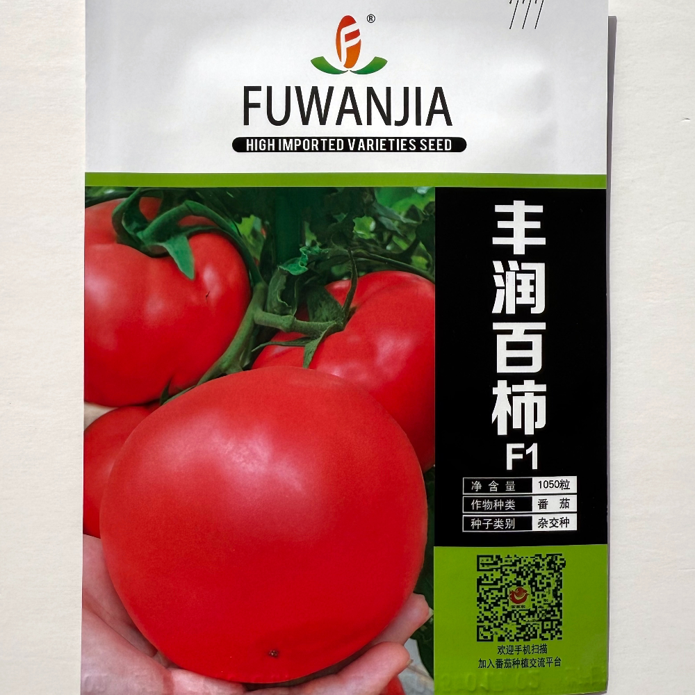富万家丰润百柿F1粉果番茄种子早熟无限生长型抗病大果西红柿种籽