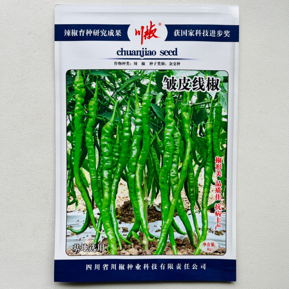 四川川椒种业皱香辣辣椒种子早熟皮薄肉质清香脆抗病高产春秋季播