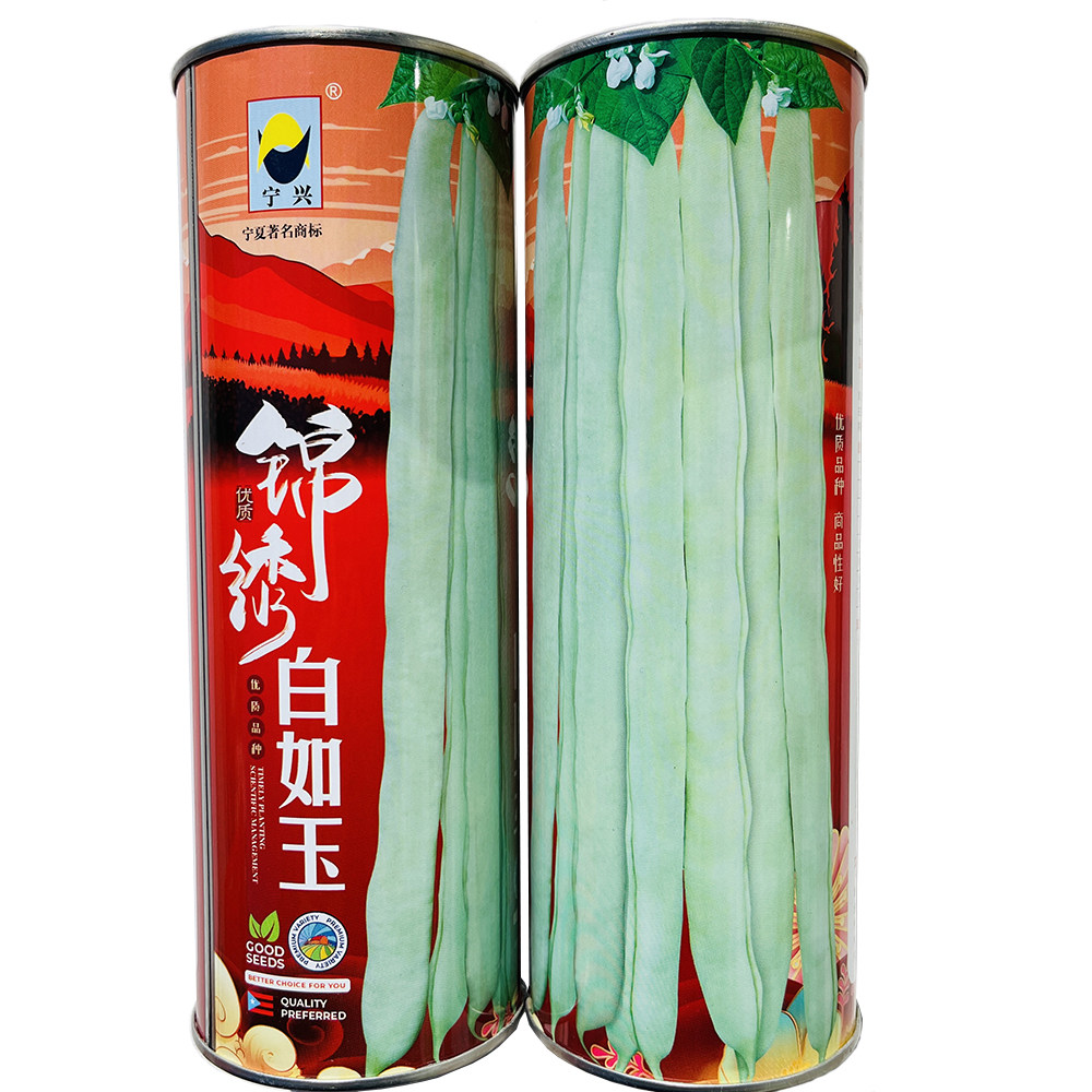 锦绣白玉芸豆种子肉厚无纤维抗病高产架豆四季豆种籽农家春秋季播