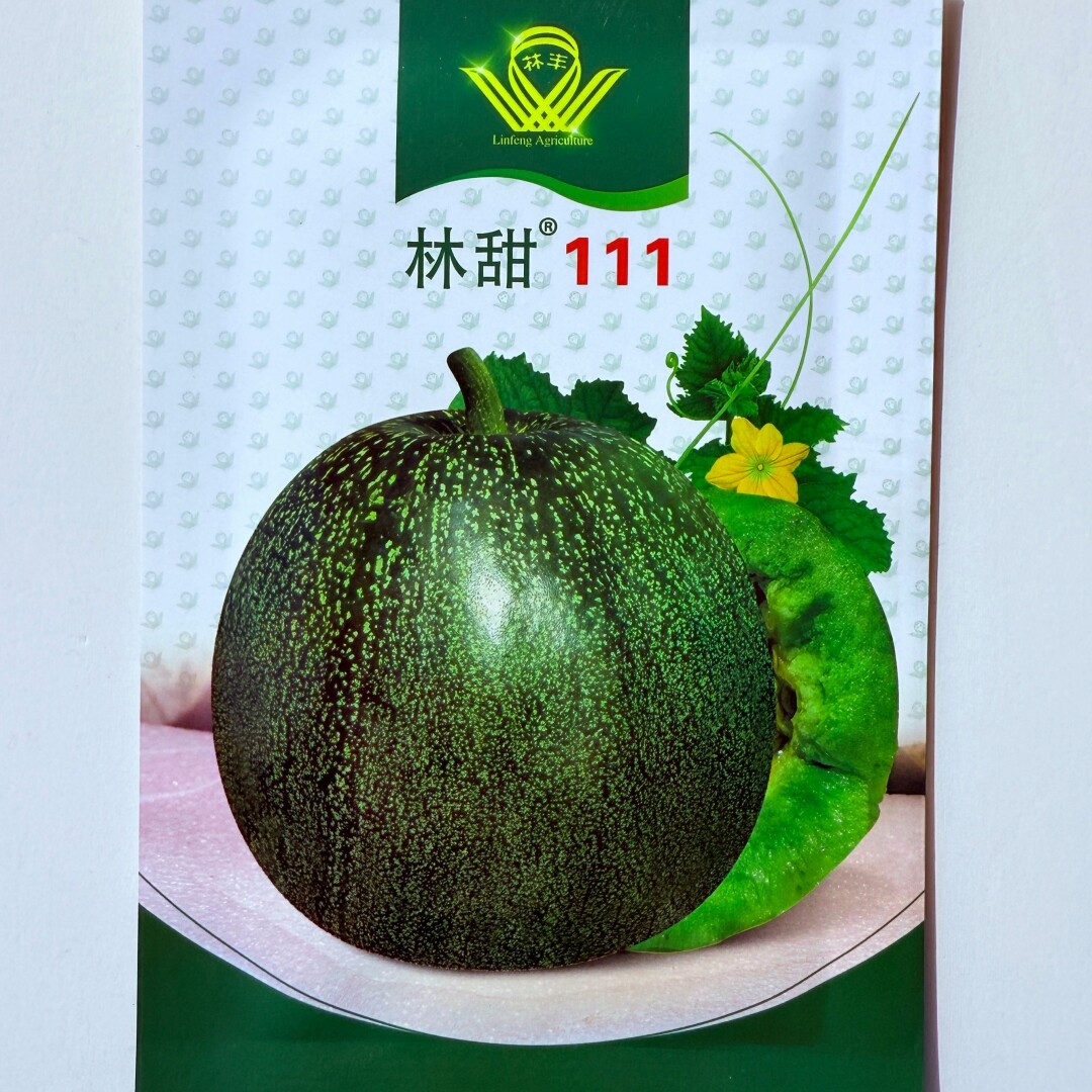 林丰111甜瓜种籽高产中早熟绿皮绿肉香瓜种子农家春季播水果种孑
