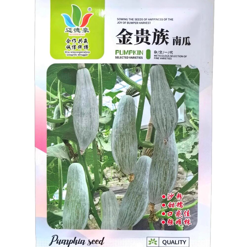 金贵族南瓜种籽强雌甜糯口感好贵族南瓜种子农家春秋季播蔬菜种孑