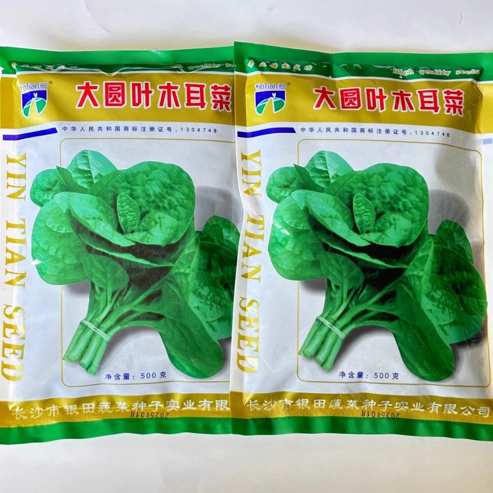 银田大圆叶木耳菜种子耐热耐湿中晚熟木耳菜种籽大田基地春夏季播