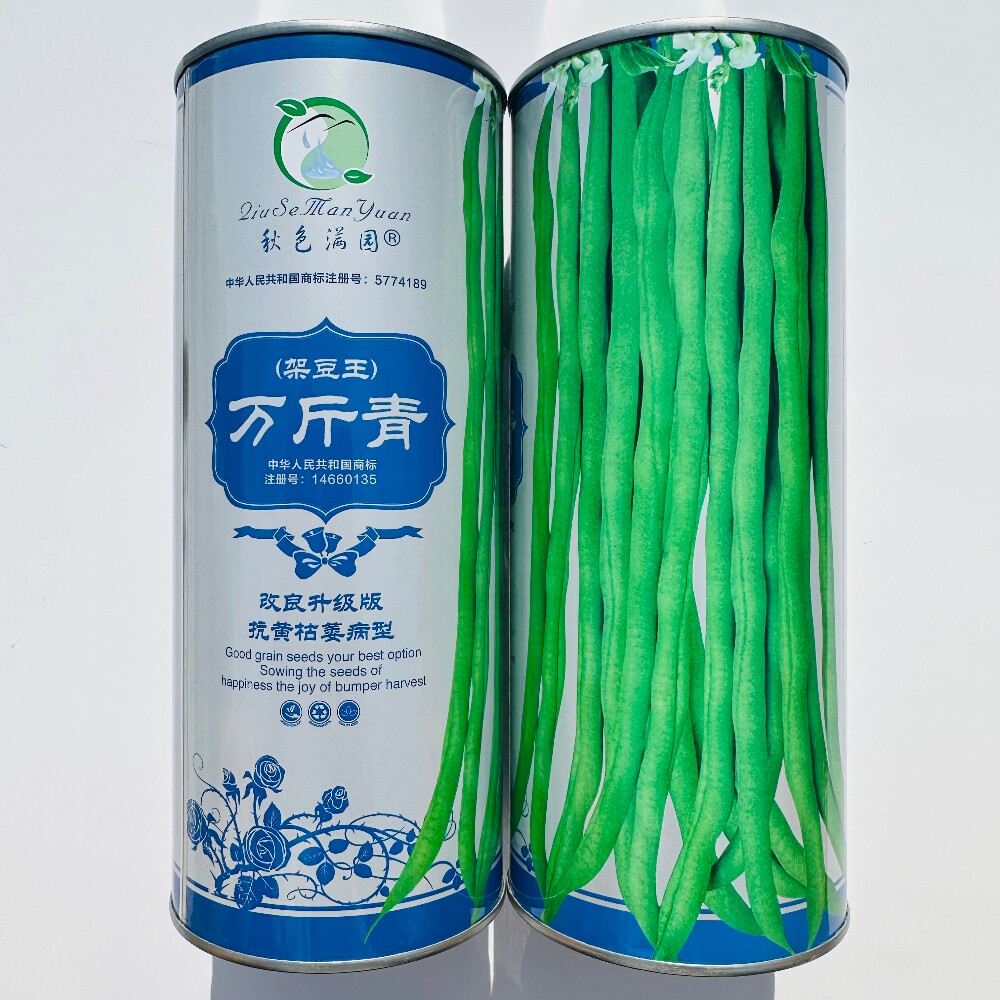 宇航长龙一号无筋架豆种子抗病中早熟翠绿条四季豆种籽春秋季播种