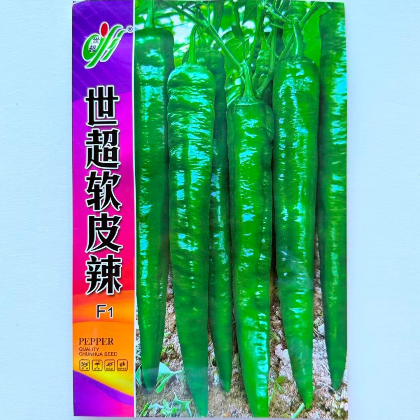 世超软皮辣椒种子杂交早熟香辣无渣长牛角椒种籽产量高春秋季播种