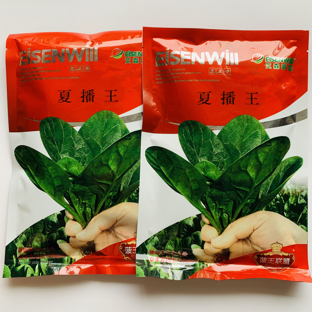 夏播王抗热菠菜种子抗病耐热耐抽苔夏季专用菠菜种籽农家春夏秋播
