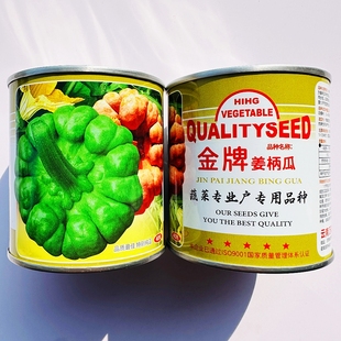 金牌姜饼瓜种子高产中早熟商品性好姜柄瓜种籽云贵川秋冬季播种孑