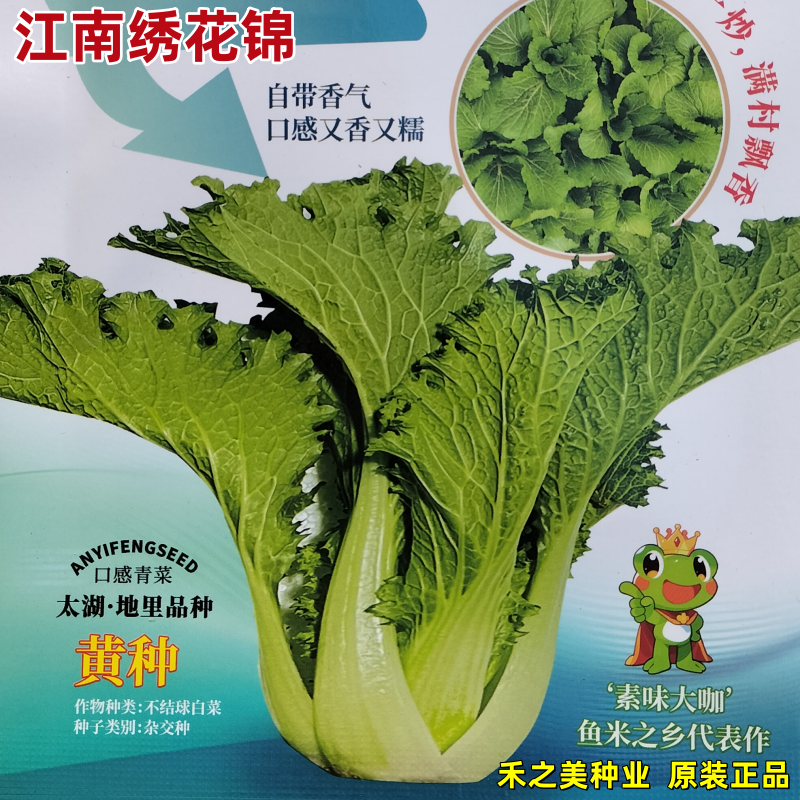 吴江香青菜种子耐寒小白菜秋冬四季江南绣花巾种籽梅干菜种孑大田