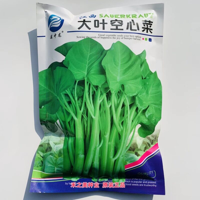 大叶空心菜种子柳叶空心菜种籽抗病高产农家大田春秋四季蔬菜种孑