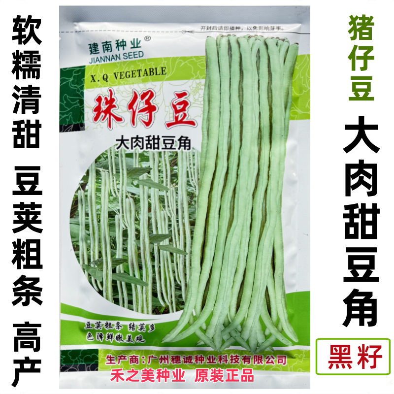 豆角种子猪仔豆农家八月豆种籽大肉珠仔豆种豇豆种子大全蔬菜种孑