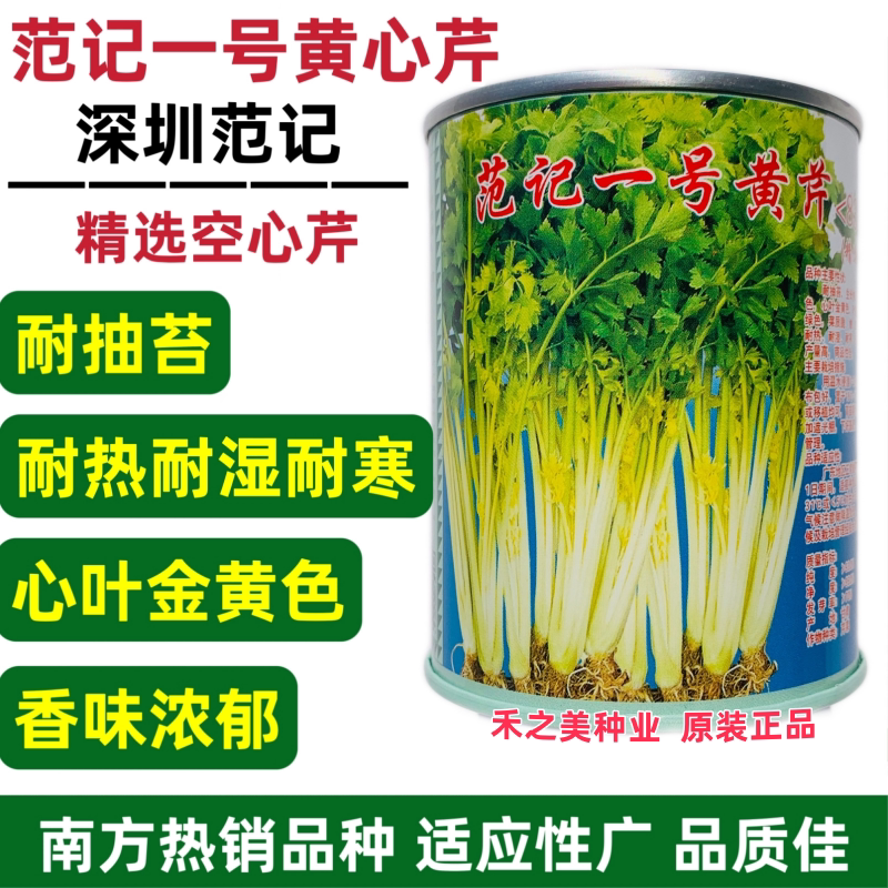 范记一号黄心芹种子广东空心芹菜种子耐热耐湿耐抽苔生长快抗病强