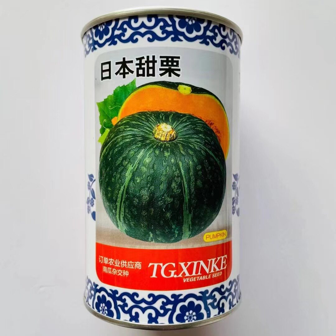 太谷甜栗南瓜种子谢花面窝瓜绿板栗味黑贝贝早熟蔬菜瓜果种籽