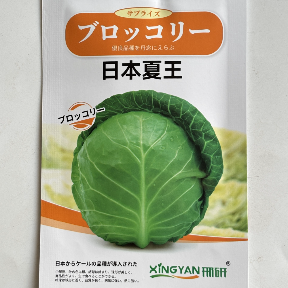 夏王甘蓝种子包菜种籽卷心菜耐热春秋季播甘蓝种子南北方蔬菜种孑