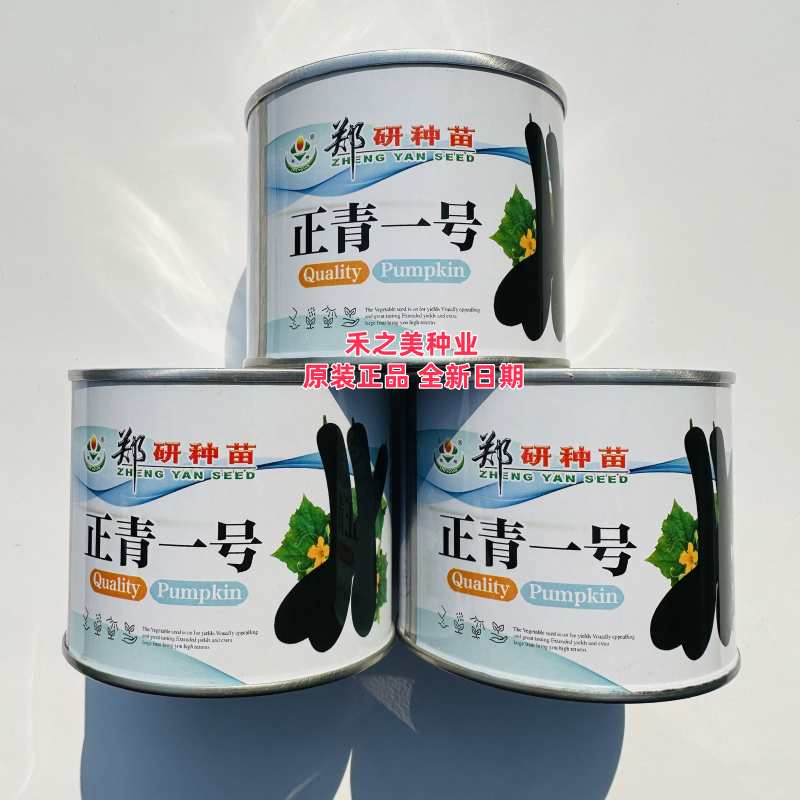 正青一号南瓜种子新选育早熟南瓜种子嫩瓜黑绿色南瓜种籽菜用南瓜