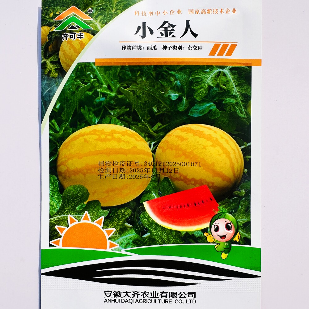 齐可丰小金人黄皮红瓤西瓜种子杂交早熟高产耐裂西瓜种籽脆嫩多汁