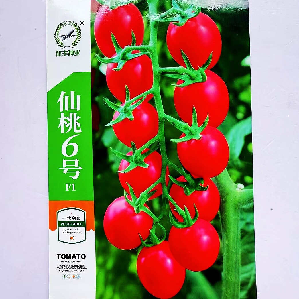 台湾艾美粉贝贝樱桃小番茄种子杂交早熟千禧小番茄种籽西红柿种孑