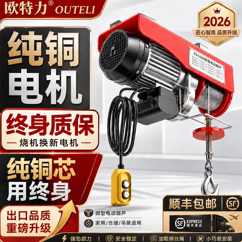 220V家用小型微型电动葫芦提升机