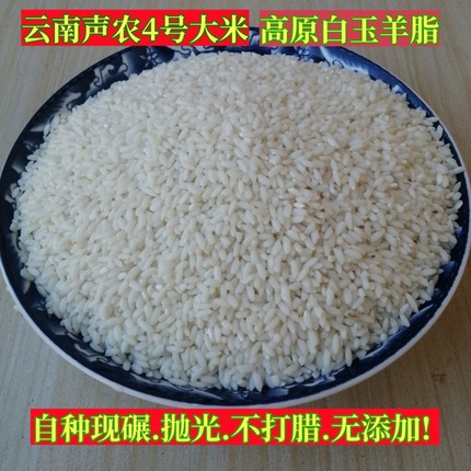 【5斤】声农4号白玉羊脂大米云南高原轻胚芽软米粳米籽米现辗新米