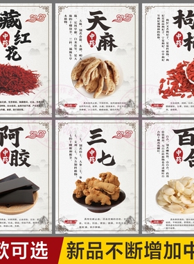 中药材海报挂图中草药养生人参虫草灵芝海报中医馆药店宣传画墙贴