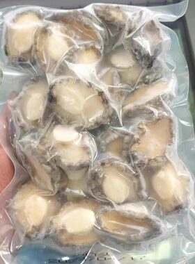 20头大号鲍鱼肉活冻去壳去内脏佛跳墙食材烧烤煲汤商用500g/袋