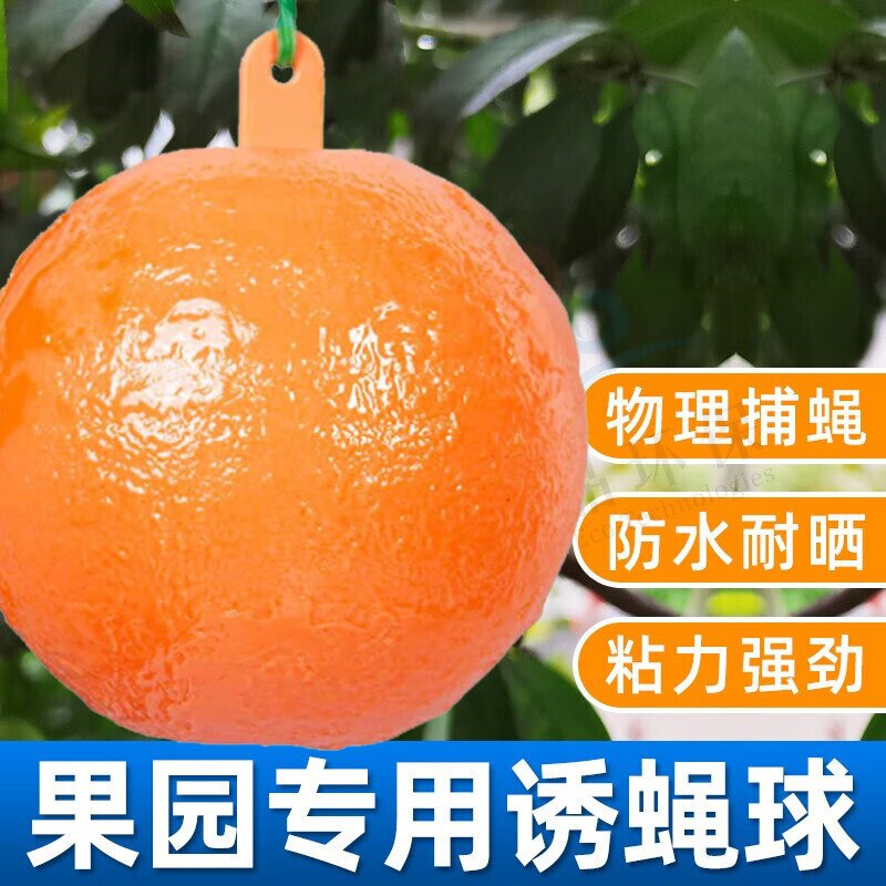 空消沾虫球诱蝇球粘虫胶球粘蚊子果蝇柑橘大实蝇引诱剂飞虫诱捕器