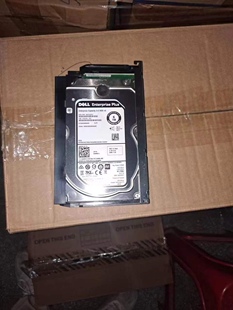 Dell Plus ST6000NM0095