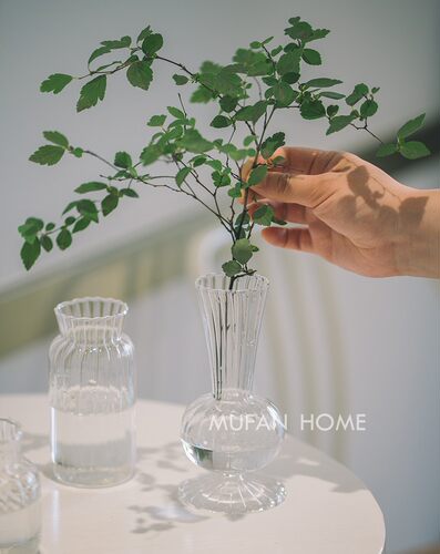 透明玻璃小花瓶客厅水养家居装饰