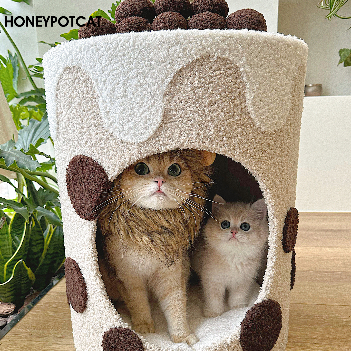 蜜罐猫拿铁奶茶桶猫窝