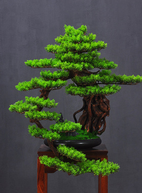仿真迎客松罗汉松新中式松树盆景售楼处酒店景观绿植假树造景摆件