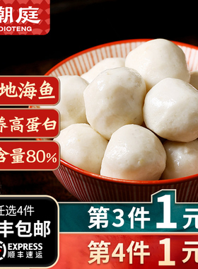 潮庭 汕头鱼丸手工 关东煮麻辣烫火锅食材各种丸子冷冻肉食品鱼蛋