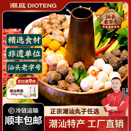 潮庭潮汕特色丸子任选