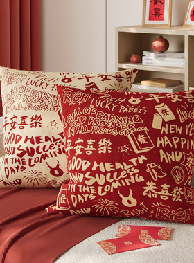 红色轻奢高级感客厅床沙发抱枕结婚喜庆乔迁新年过年靠背垫靠垫套
