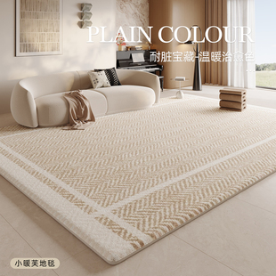 客厅地毯轻奢高级沙发茶几衣帽间卧室床边毯家用地垫防水2025新款