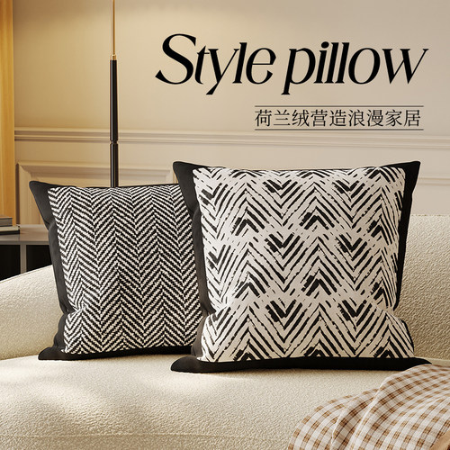 沙发靠枕抱枕高级感客厅书房含芯靠背垫轻奢风卧室飘窗靠垫靠枕套