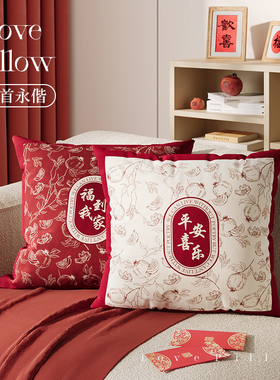 红色轻奢高级感客厅床沙发抱枕结婚喜庆乔迁新年过年靠背垫靠垫套