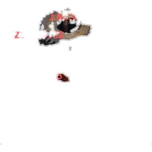 机床配件上海第二机床厂C615/C250A L-5车床配件2064三联齿轮Z35/