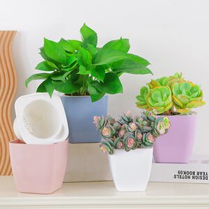 懒人自动吸水盆塑料绿萝专用花盆