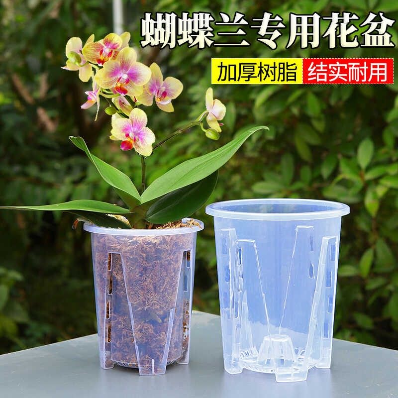 蝴蝶兰专用透明控根盆兰花花卉石斛水苔大号家用塑料透气镂空花盆,鲜花速递/花卉仿真/绿植园艺,花盆,淘宝优惠券,粉丝福利购,淘宝优惠卷