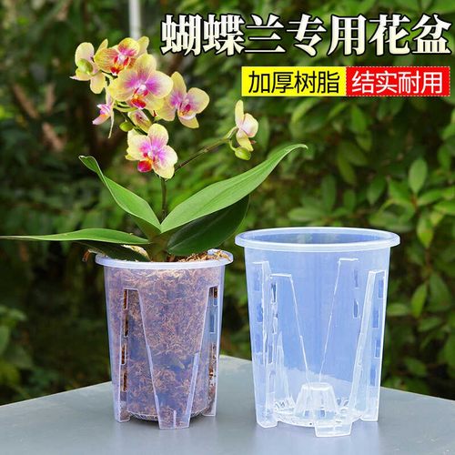 蝴蝶兰专用透明控根盆兰花专用盆