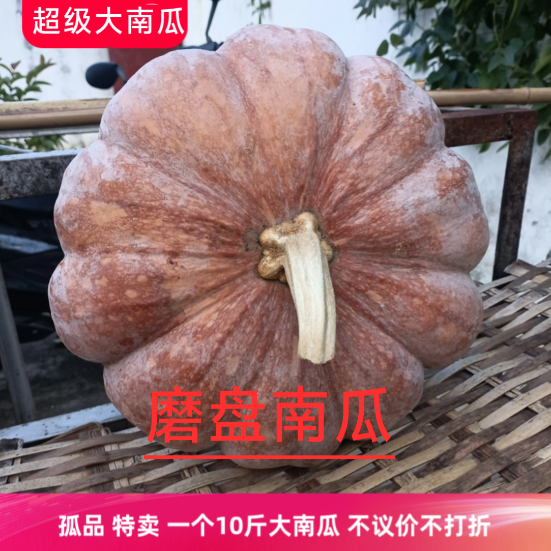 一个10斤香糯品质超级大南瓜圆形磨盘南瓜黄皮老南瓜云南高原农品,水产肉类/新鲜蔬果/熟食,南瓜,淘宝优惠券,粉丝福利购,淘宝优惠卷