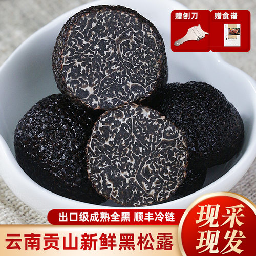 云南黑松露野生新鲜菌菇500g特级
