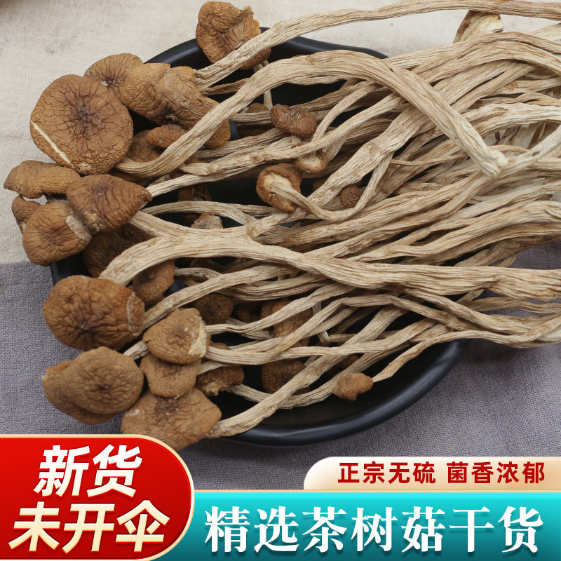 茶树菇干货野生500g特级新鲜菌菇茶树菇正宗农家香菇蘑菇煲汤食材
