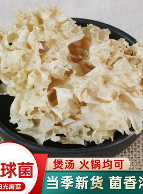 绣球菌干货云南特产特级野生菌绣球菇酒店火锅煲汤食材新鲜秀球菌