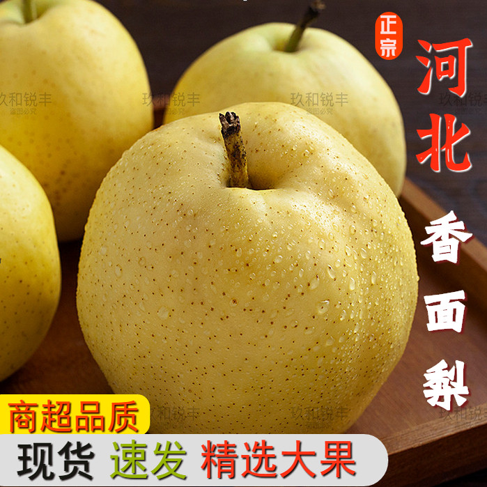河北正宗香面梨子淡香酸甜多汁薄皮当季新鲜罕见水果整箱酥梨批发